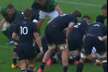 All Blacks