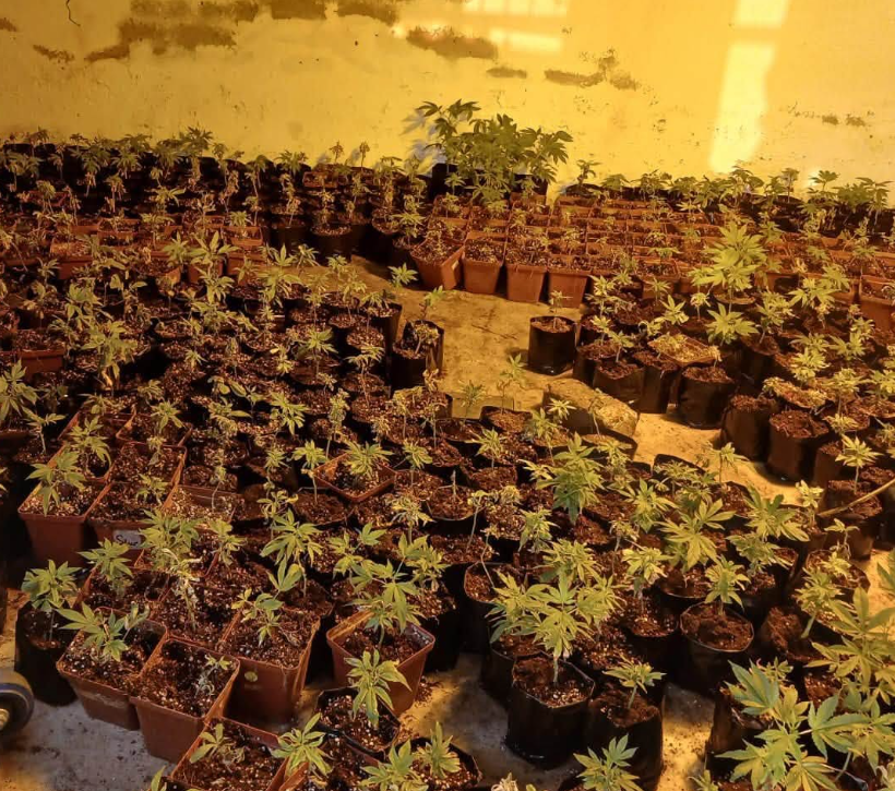 Dagga