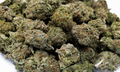 Dagga