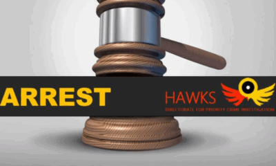 Hawks