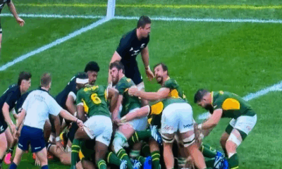 Springboks