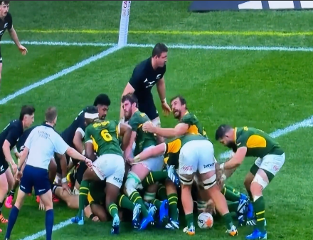 Springboks