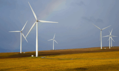 Wind farm