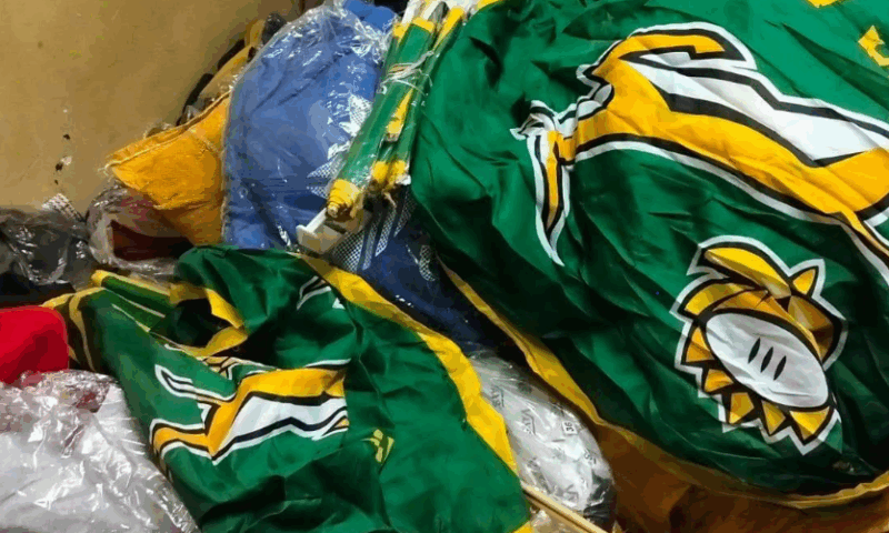Springboks
