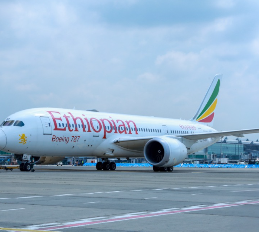 South Africa gets new international flights