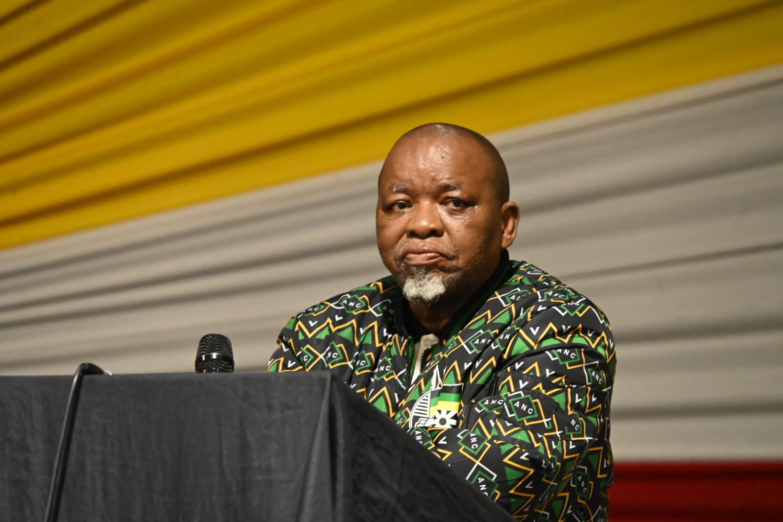 Mantashe urges voters to remember 'ANC’s RDP housing, grants and services' ahead of elections