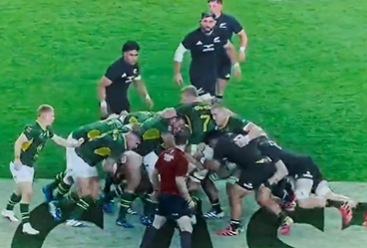Springboks