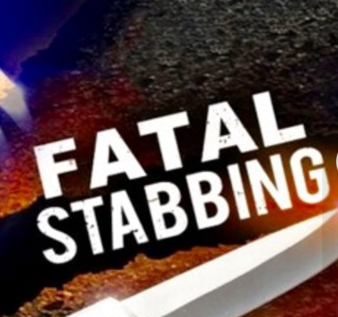 Mom finds 14-year-old twins stabbed to death