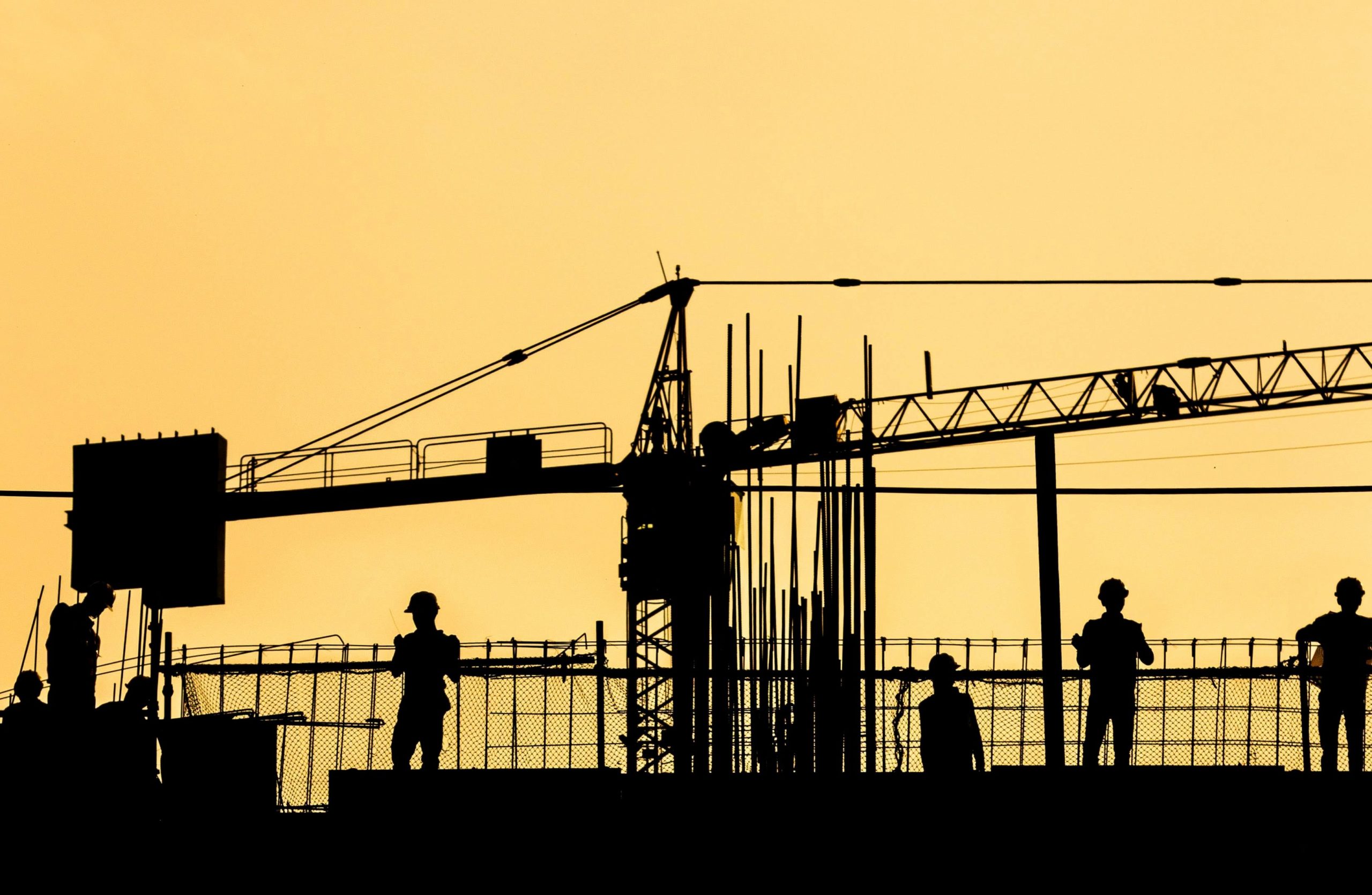 Building bonanza